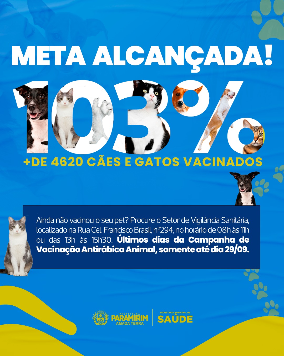 Paramirim supera meta de vacinação em Campanha Antirrábica Animal