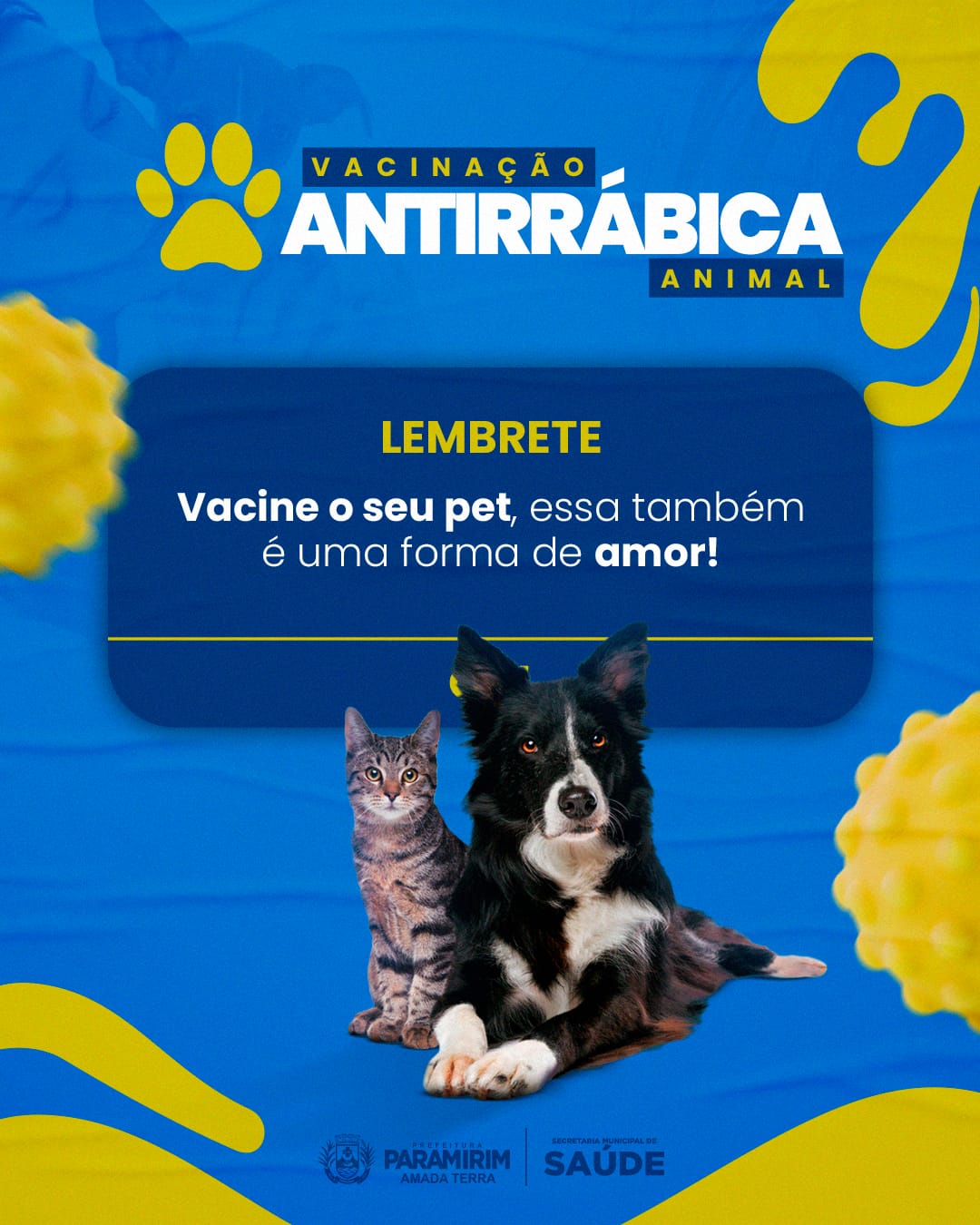 Campanha de Vacinação Antirrábica Animal começa na próxima semana