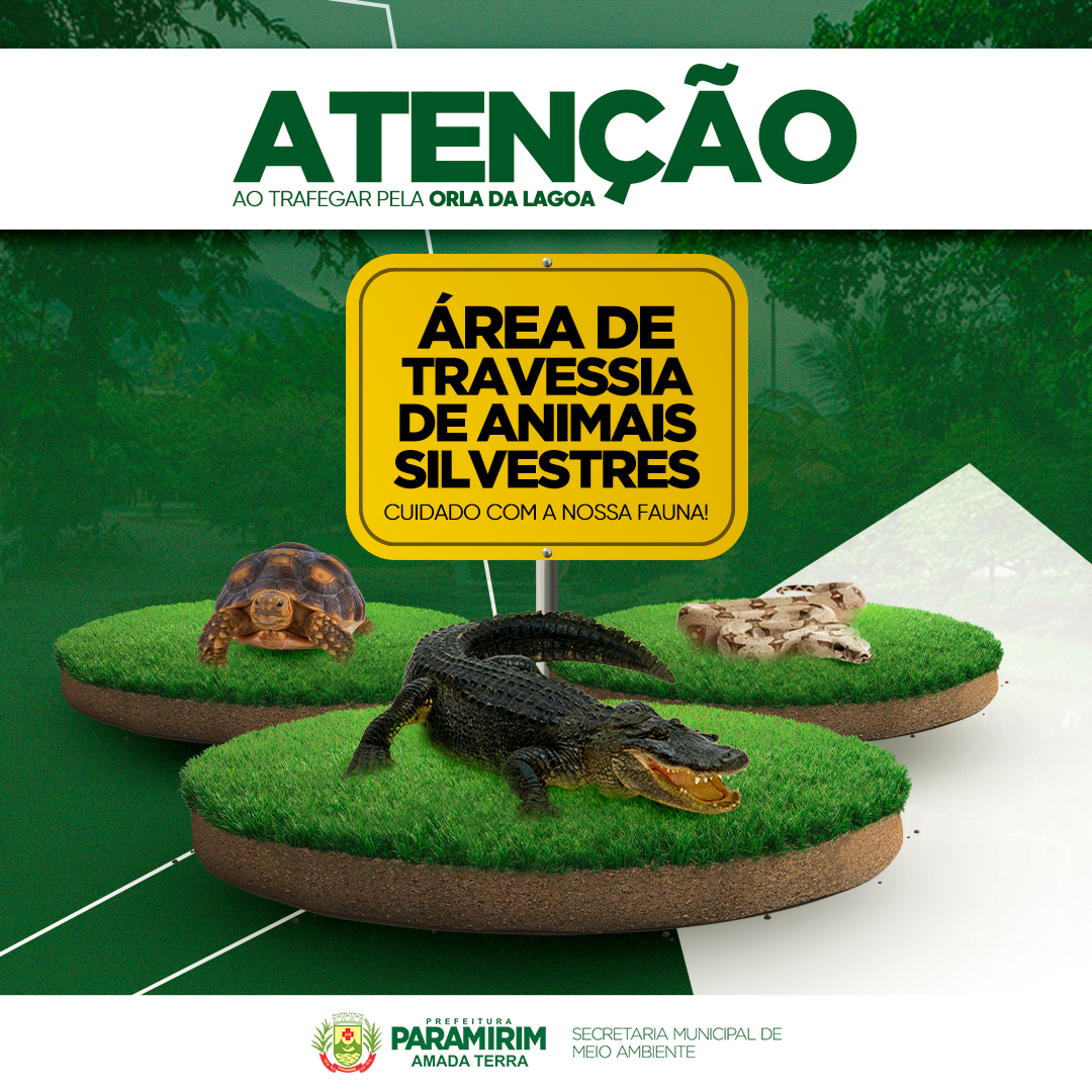 Prefeitura de Paramirim orienta sobre animais silvestres na Orla da Lagoa