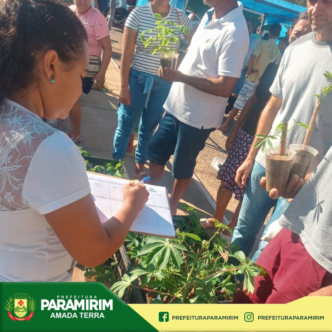 Setor de Agricultura distribui mudas de plantas resistentes à seca para produtores rurais