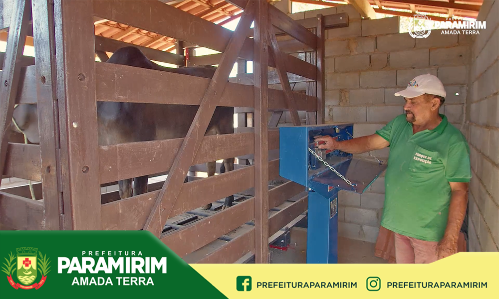 Paramirim tem balança de animais disponível à toda a população